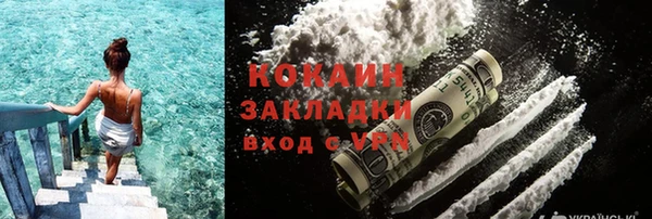 индика Аркадак
