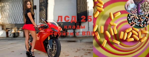индика Аркадак