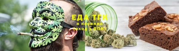 индика Аркадак