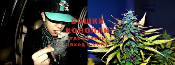 индика Аркадак