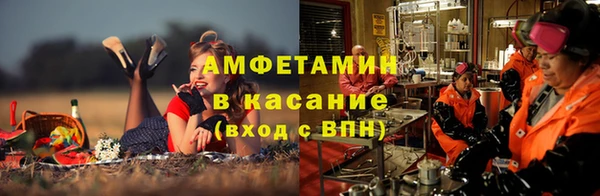 индика Аркадак