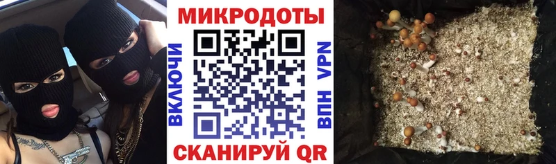 МЕГА ссылка  где найти   Владивосток  Галлюциногенные грибы Magic Shrooms 